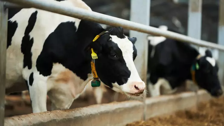 Cierra Leche Zaragoza en Delicias