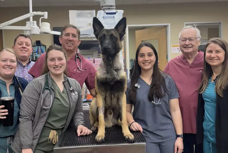 Dan de alta a Rocky, perro policía herido en Houston