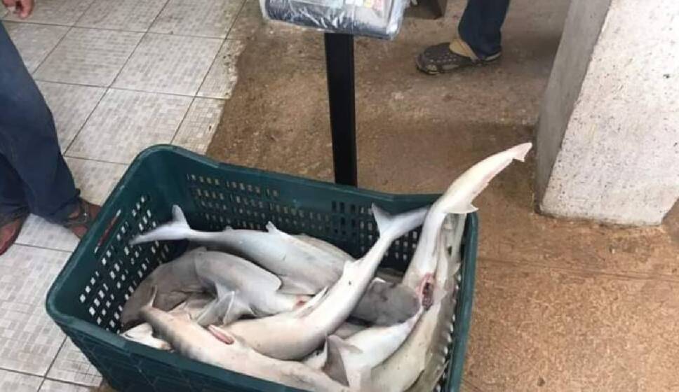 Detienen a pescadores