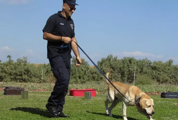 perro olfateando .jpg