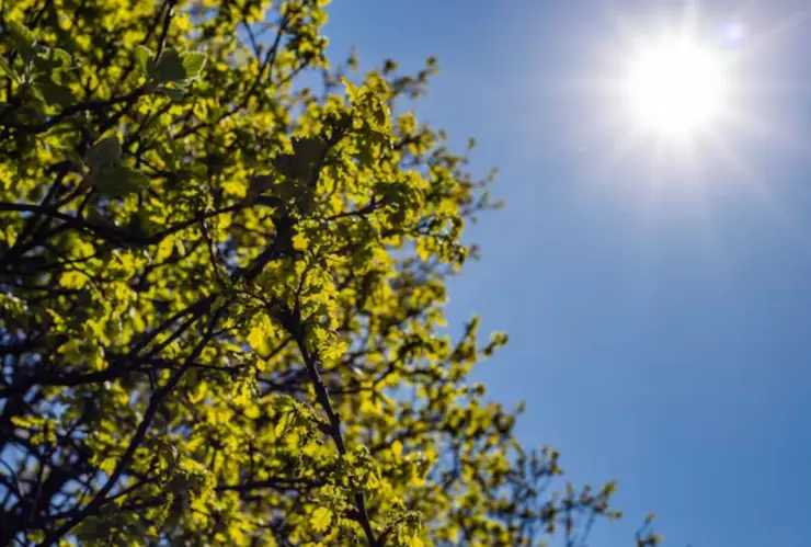 Texto del párrafo - 2025-04-28T123813.009.jpg