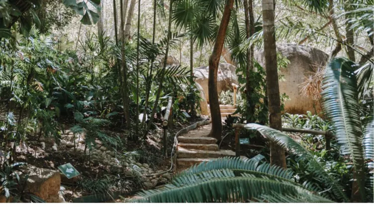 Jardin Botanico Acapulco presenta pryecto para limpiar aguas residuales