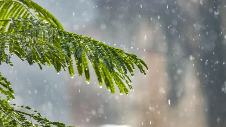 Lluvia en Aguascalientes ¿A qué hora se pronostica tormenta fuerte hoy jueves 7 de agosto 2025