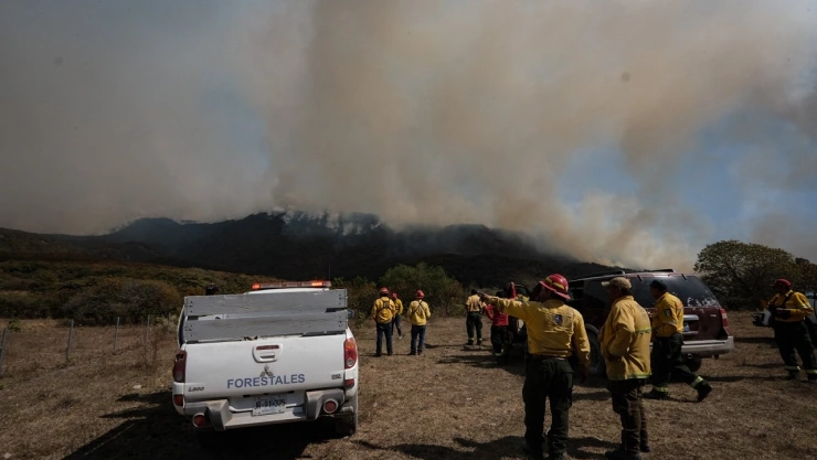 INCENDIO LA PRIMAVERA.jpg