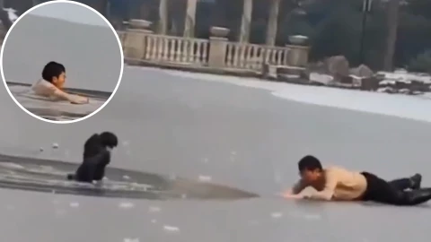 niño cayó a través de una fina capa de hielo.png