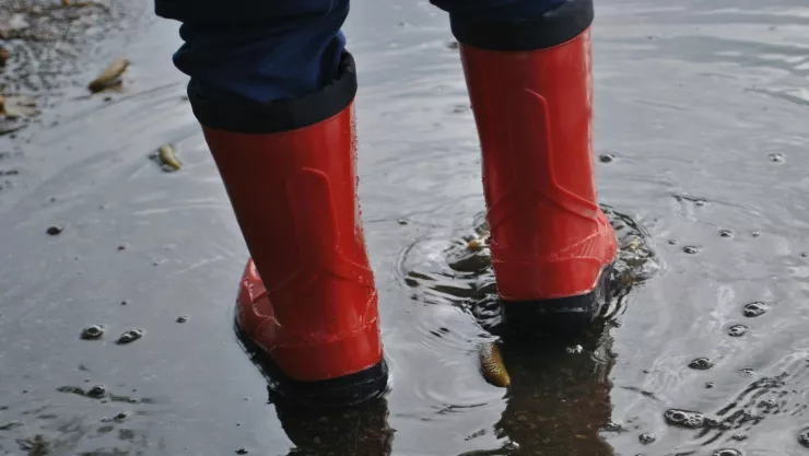 Encuentran vivo a bebé que fue arrastrado por la corriente; estaba junto a la figura de la Virgen de la Concepción