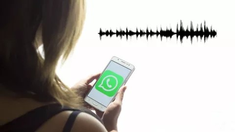 WhatsApp, notas de voz, cambios.jpg