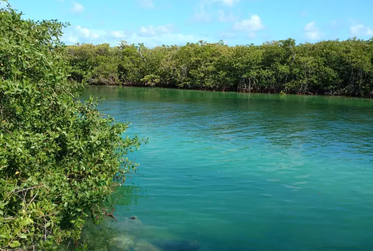 Laguna Nichupté en Cancún