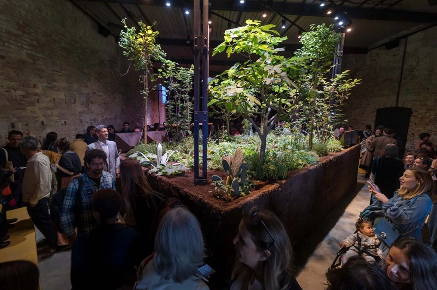 Chinampa Veneta en La Biennale di Venezia Chinampa Veneta en La Biennale di Venezia