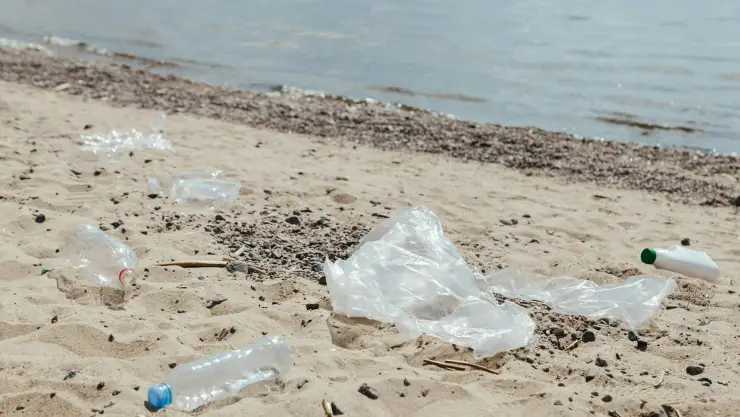 Océanos contaminados