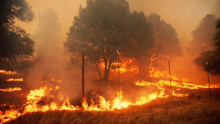 Incendios forestales