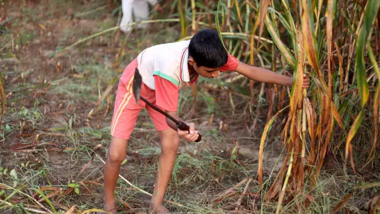 Trabajo infantil en México, un problemática social