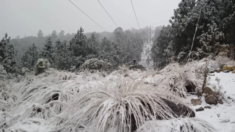 Nevada en Perote