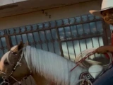 Desaparece menor tras ir a alimentar gallos en Jalisco: Temen que sea por reclutamiento criminal. En la imagen se observa a Juan Diego Villalobo, de 16 años, sobre su caballo, días antes de su desaparición.