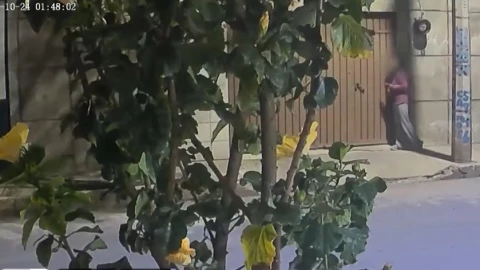 “Lau” quedó abandonada en calles de Nezahualcóyotl, donde vecinos la auxiliaron