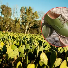 Desserto: La empresa mexicana que inventó la piel hecha con nopal y que firmó con marcas globales