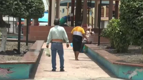 ataque abejas veracruz.jpg