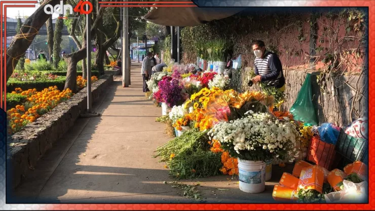 Cómo llegar a Mixquic para Día de Muertos