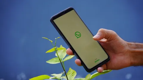 WhatsApp