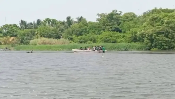 Pescadores de Veracruz denuncian captura ilegal del cangrejo azul y moro, serían de Tabasco