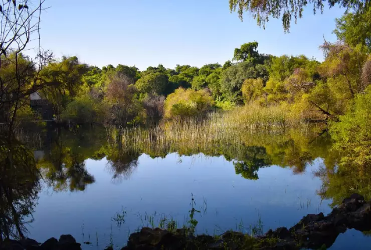 laguna en morelos.jpg