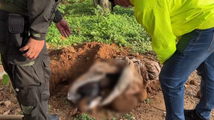 Maltrato animal en Guerrero