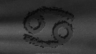 Cáncer símbolo negro.jpg