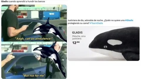No te pierdas los mejores memes de la orca Gladis