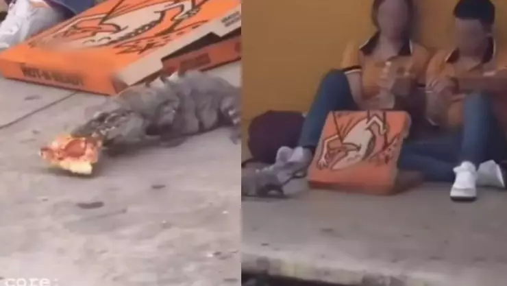 Estudiantes alimentan a _Tolok_ y se vuelve viral en las redes sociales