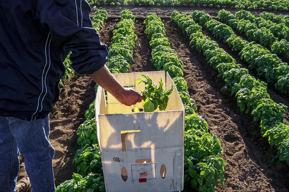 México y Canadá 13 de febrero .jpg
