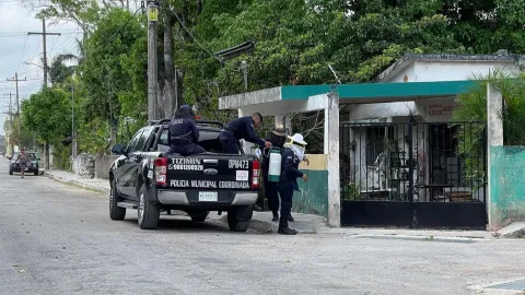 muere perrito ataque de abejas