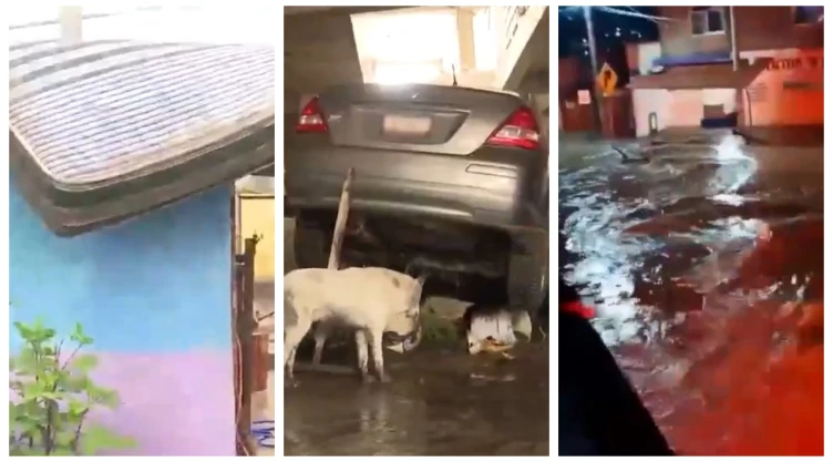 Guanajuato: Fuertes lluvias provocan ruptura y desbordamiento de presa ‘Las Golondrinas’ en Ocampo.
