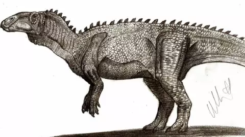 Huehuecanauhtlus en la CDMX