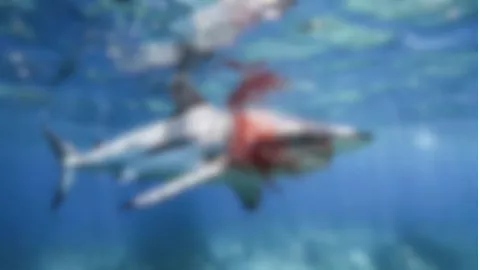 ¡Tragedia! Adolescente es ATACADO por un TIBURÓN y es captado en VIDEO CONTENIDO SENSIBLE.jpg