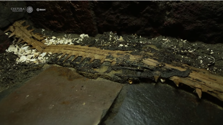 Concluye excavación de Ofrenda 174