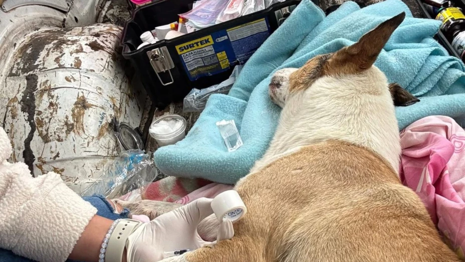 Vecinos exigen justicia por ‘Baileys’.