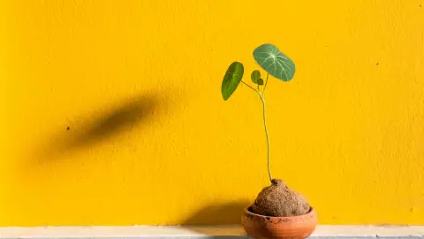 Los signos de Tierra deben conectar con la naturaleza