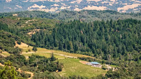 Un peque&ntilde;o retrato del paisaje que otorga la ciudad de Healdsburg en California