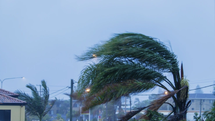 tormenta
