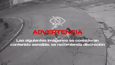 VIDEO ¡IMÁGENES FUERTES! Mujer es atacada por una jauría de perros en EDOMEX; así ocurrió