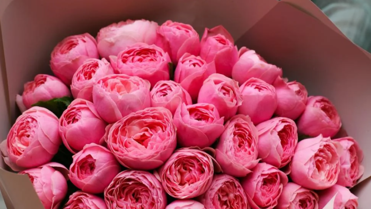 flores san valentín