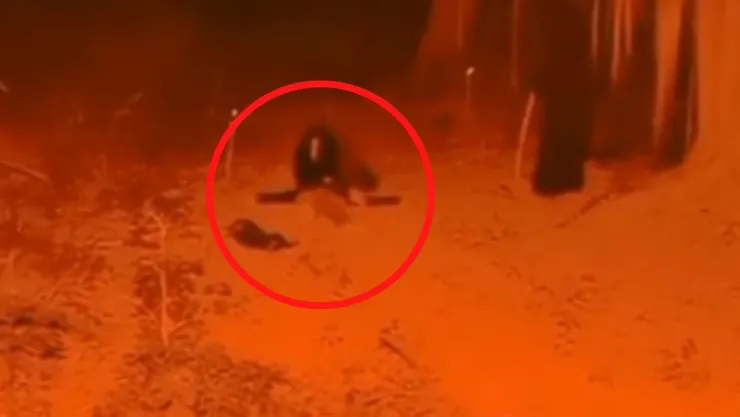 VIDEO Nahuala protege a niño explorador que fue atacado por brujos