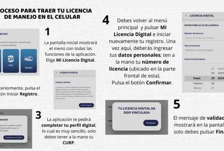 pasos para digitalizar la licencia de manejo en queretaro.jpg