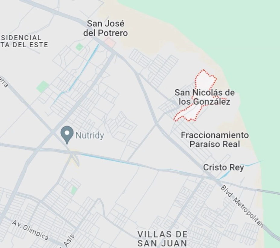 colonia San Nicolás de los González