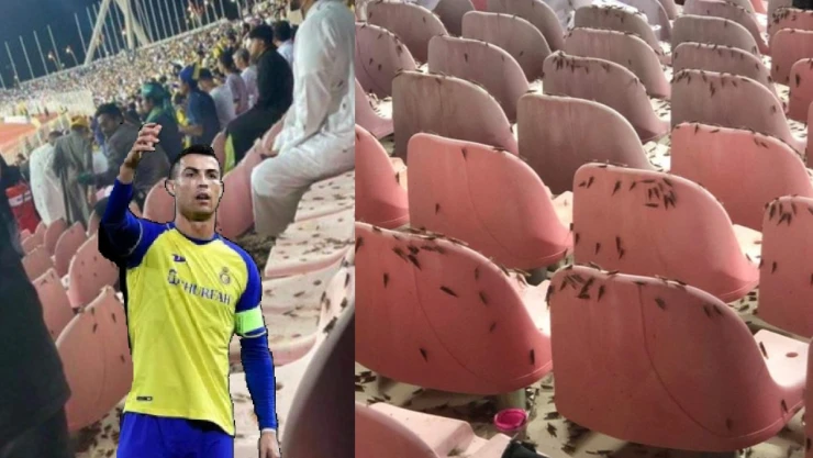 CR7