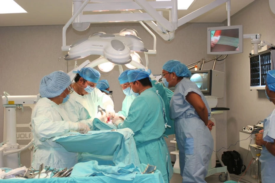 Trasplantes médula ósea