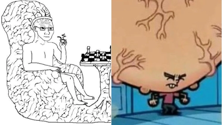 curp_memes_memoria.jpg