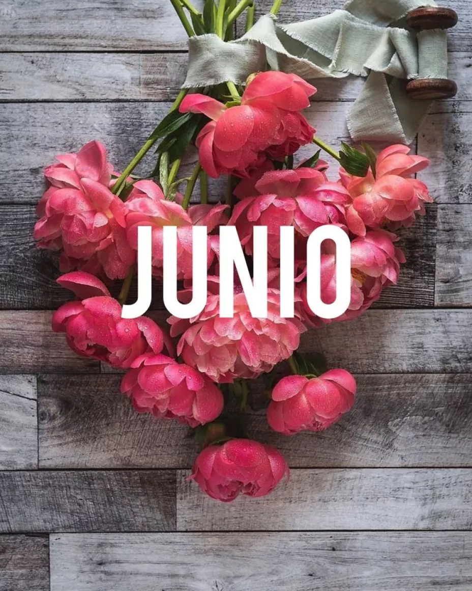 Bienvenido Junio (10).jpg