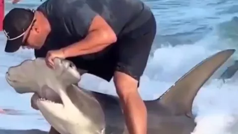 Texto del párrafo - 2025-05-20T094404.560.jpg