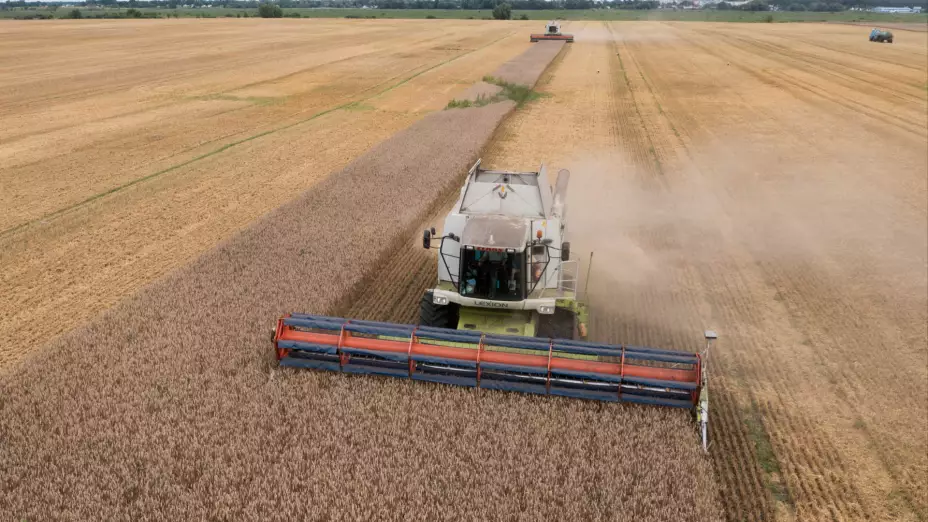 Cosechadoras recogen trigo en Zghurivka, Ucrania.